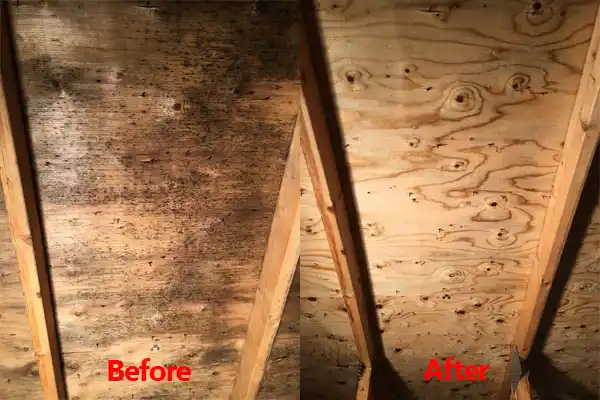 water damage restoration service Argusville